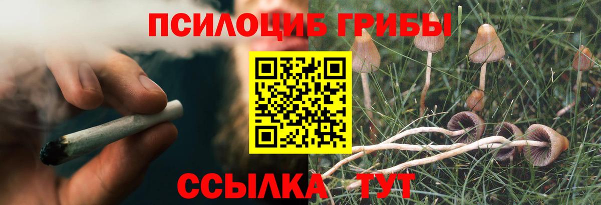 Псилоцибиновые грибы MAGIC MUSHROOMS Красноярск