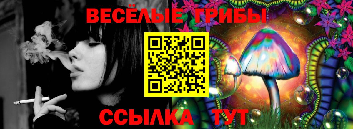 Псилоцибиновые грибы MAGIC MUSHROOMS  Вход с VPN  Красноярск 